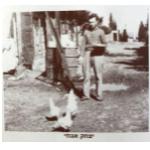 אבו עלי 150