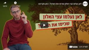 לאן נעלמו עצי האלון קטן